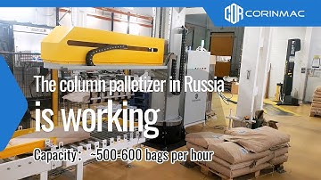 The column palletizer in Russia is working