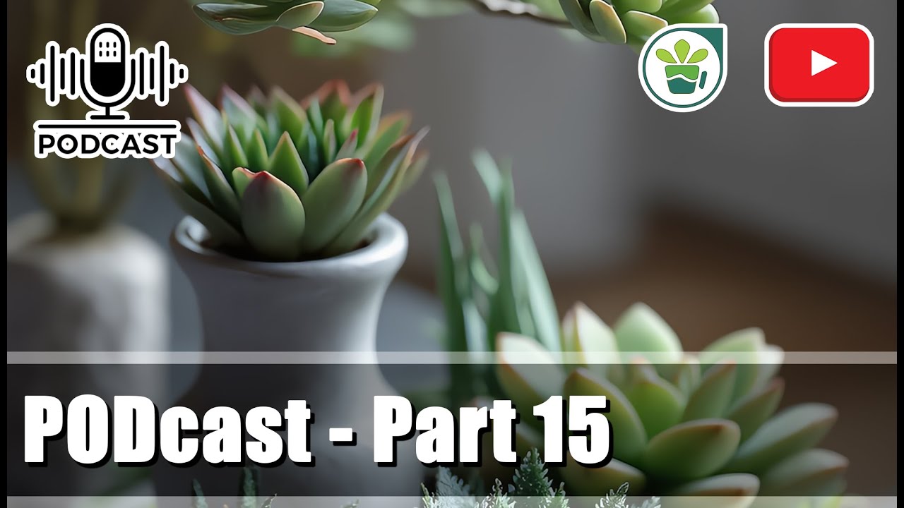 Soil Secrets 🌱 The Best Potting Mix for Cactus and Succulents - YouTube