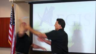 Training at Aegis Academy