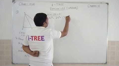 Exercise 6.6 (Optional), Class 10th Math, Difficult question based on Triangles