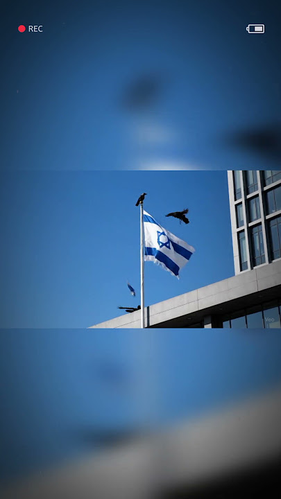 Bahkan Gagak pun mengutuk bendera IsraHell