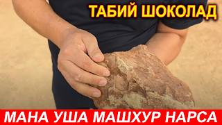 картинка: ЭНДИ УЗБЕКИСТОНДА УША МАШХУР ОБЛИЦОВКА ГИШТ ЧИКАРИШ ТУЛИК ЖАРАЁН