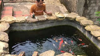 Nuôi Cá Koi Việt Trong Bể Xi Măng Nhìn Đàn Cá Nổi Trên Mặt Nước Thật Là Đã  Lão Làng Vlog