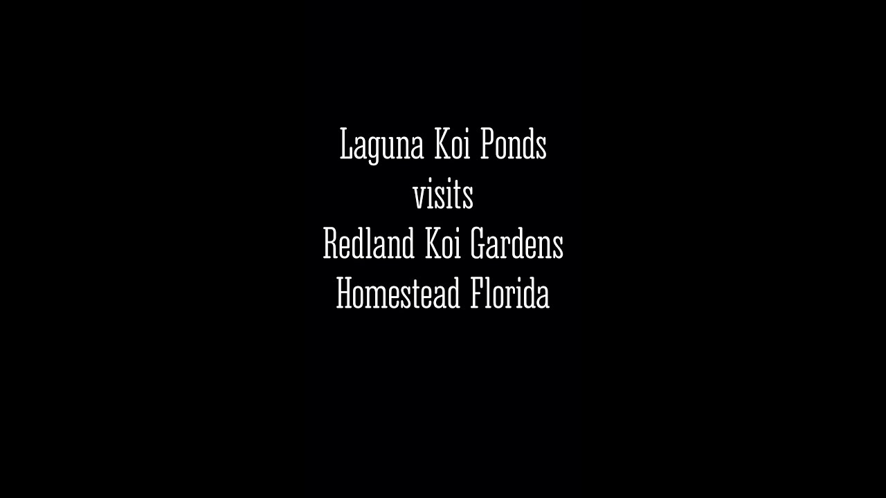 Laguna Koi Ponds visits Redland Koi Gardens