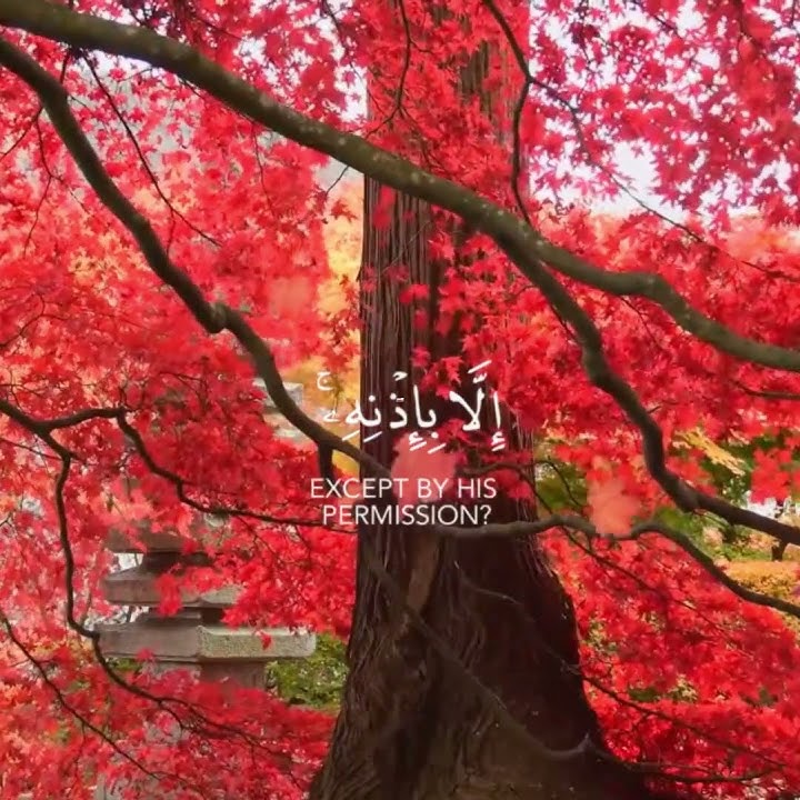 Ayat ul Kursi - Islam Sobhi