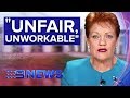 Senator Pauline Hanson slams Australia's Family Law system | Nine News Australia