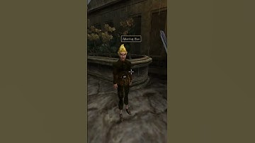 Killing the adoring fan in Morrowind every day until Skywind and Skyblivion are released Day - 454