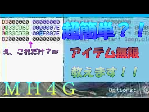 Wn 3ds チート Ctrpfで変動サーチの方法を簡単に説明