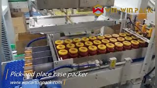Famous WIN-WIN PACK Seasoning pot packing machine/Pick & place case packer for cans/Carton erector & sealer Profile