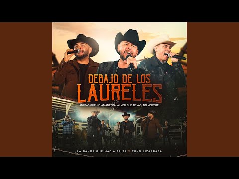 Debajo De Los Laureles / No Volveré / Animas Que No Amanezca / Al Ver Que Te Vas