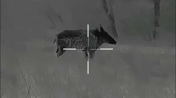 ThermTec Ares｜Exploring infrared world｜Thermal imaging scope