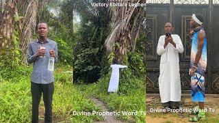 Young Prophet trapped in an evil tree. Pastor Stephen came back to help