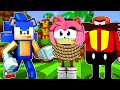 SALVO AMY LA FIDANZATA DI SONIC DA EGGMAN SU MINECRAFT !