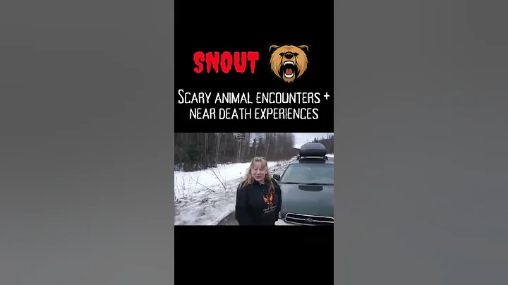 When you're surrounded by wolves 🐺 | Scary Animal Encounter