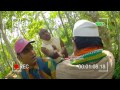 Munshi 'Putrajeevak' medicine 2015
