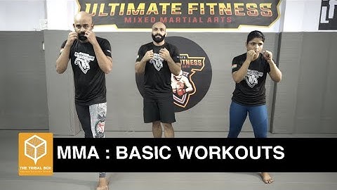 Beginner