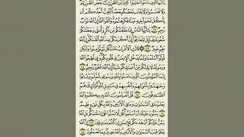 سورة الحجرات من الآية ١٢ إلى الآية ١٨بصوت القارئ ماهر المعيقلي