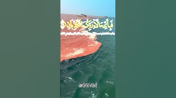 مَرَجَ البَحرَينِ يَلتقِيَانِ|| #تلاوةالقرآن #القرآن_الكريم #تلاوة_خاشعة #القرآن #بصوت_جميل #quran