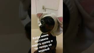 Когда мама заставила надеть шапку и ты теперь не модный. Очень смешное видео