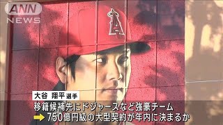 大谷翔平選手 全球団との交渉が解禁“総額750億円”FA獲得　移籍候補にドジャースなど(2023年11月7日)