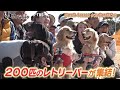 5/24(土)「いぬじかん」A.B.C-Z塚田僚一が大型犬との生活を語る!...レトリーバーが大集結するイベントへ!愛犬と一緒に自転車で走るバイクジョアリングも紹介