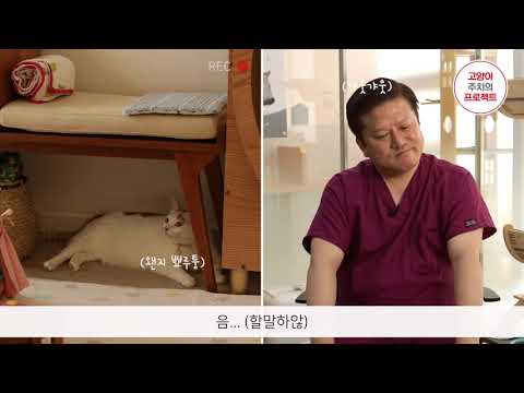 로얄캐닌 고양이 주치의 프로젝트 (feat. 뽀양)