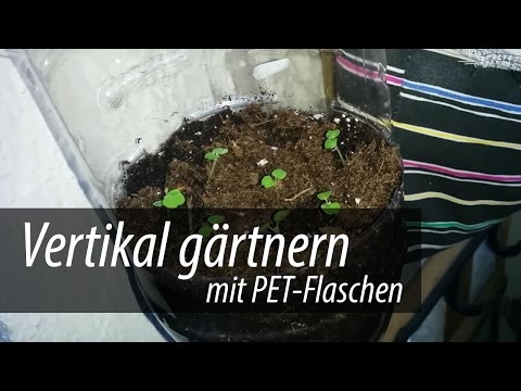 Video: Gärtnern mit alten Flaschen: Ideen für die Wiederverwendung von Flaschen im Garten