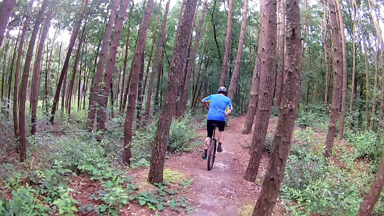 Kreuz und Quer durch den Wald