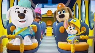 🎼 Here Come the Bus Bus 🎶🎵🚌🐾 Net Worth