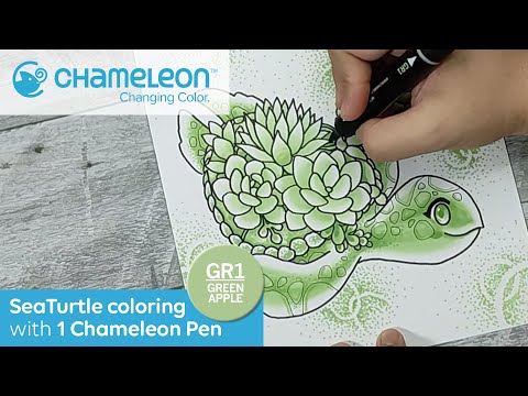 Sea Turtle Coloring with 1 Chameleon Pen by Ian De Jesus