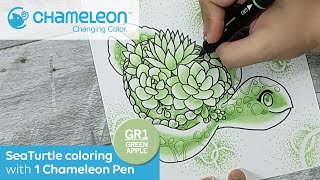 Sea Turtle Coloring with 1 Chameleon Pen by Ian De Jesus