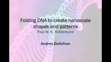 Folding DNA to create nanoscale shapes and patterns - Andrea Detlefsen