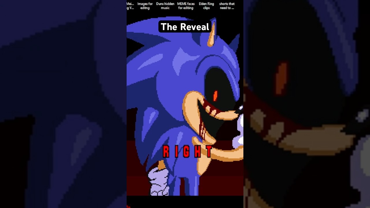 FNF - Sonic Last Chance Animation 