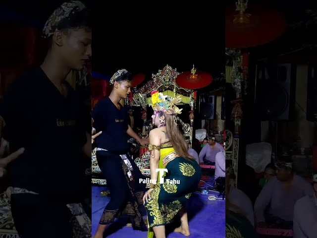 indonesian cultural dance ✔️✔️hot Balinese cultural dance traditional Bali dance ✔️Kuk geruk class=