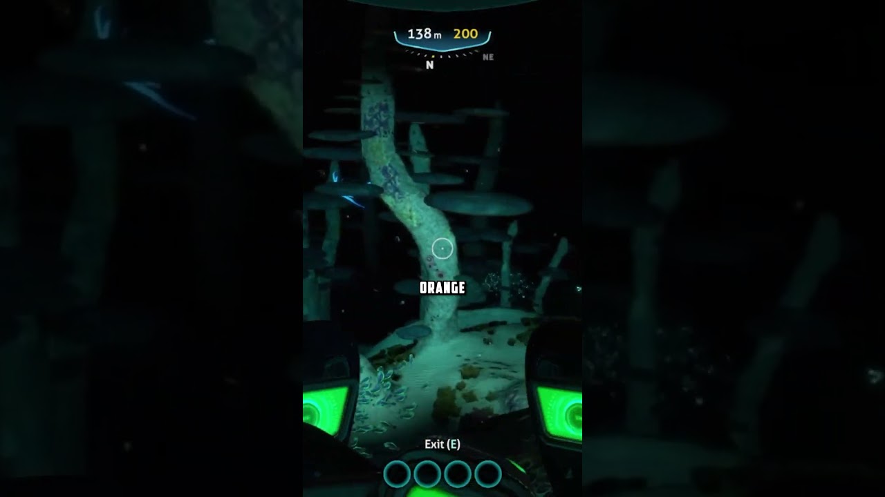 Exploring The Mushroom Forest 