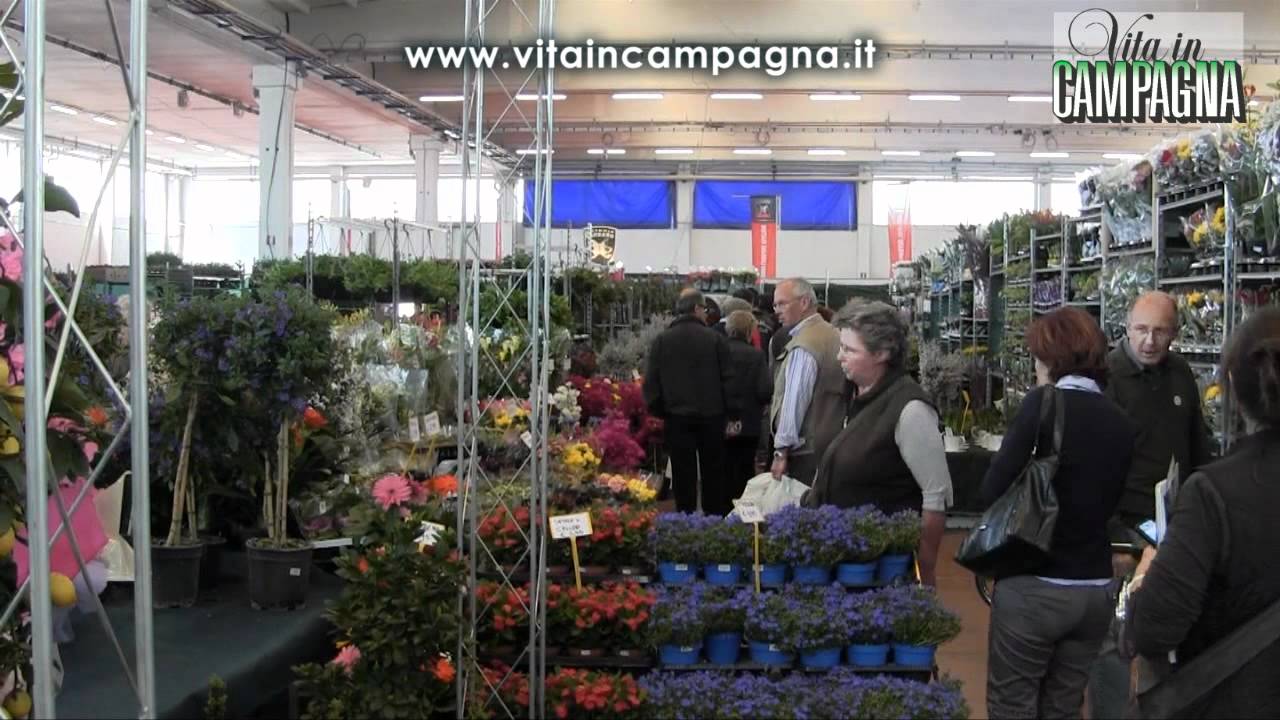 fiera di vita in campagna