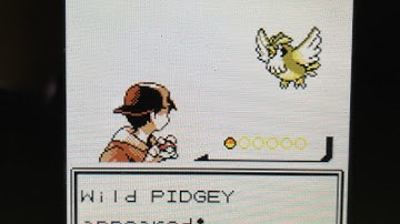 Shiny Pidgey Fail in Crystal after 4 encounters…