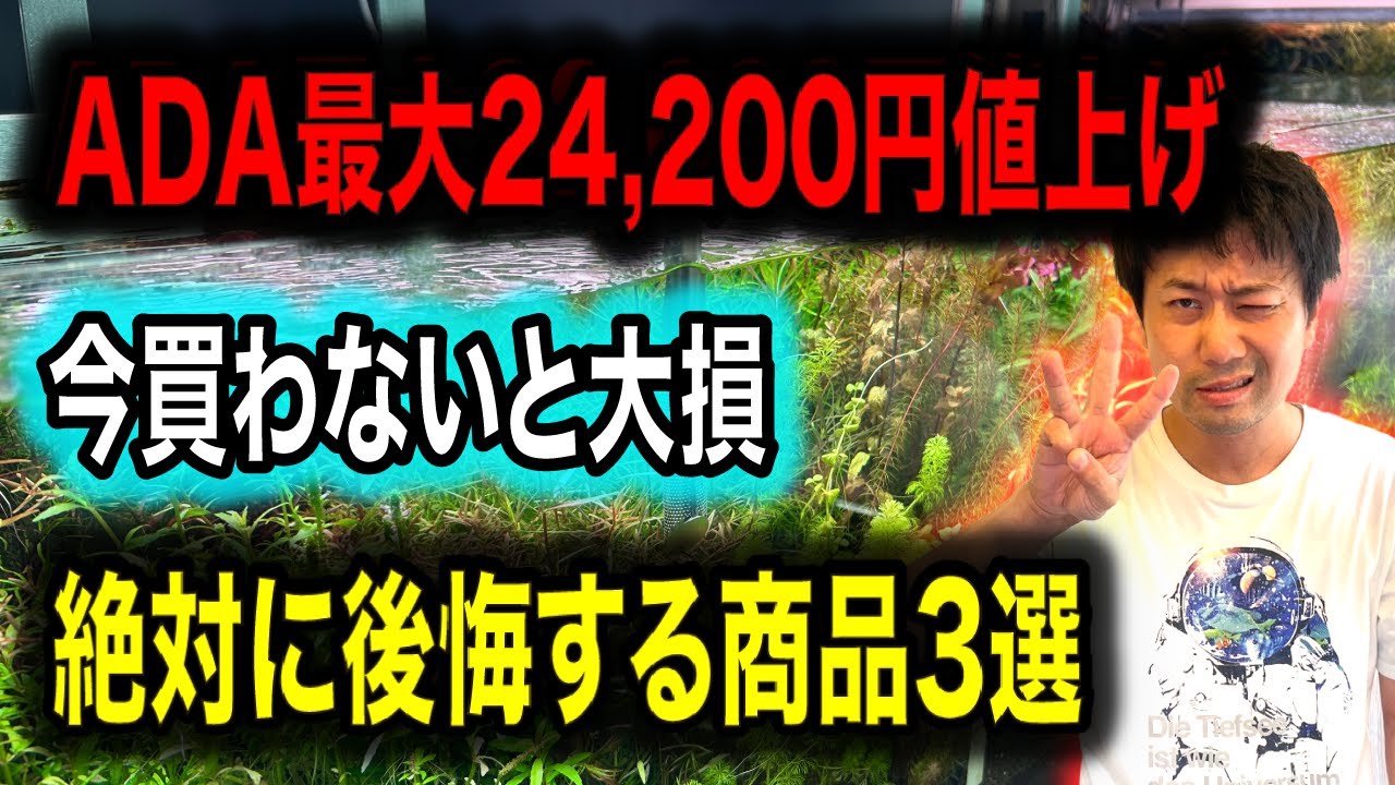 緊急速報】夏前に絶対に買っておくべきADA商品80アイテム