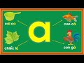 Bé Tập đọc Bảng Chữ Cái Tiếng Việt Dạy Bé Học Tiếng Việt 2021 Thanh Nấm