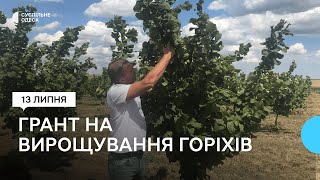 Одеський підприємець отримав грант від держави на вирощування горіхів