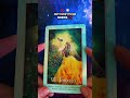 Temperance: Trust Divine Timing Today