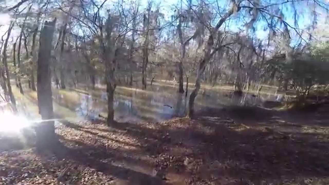 Spring Creek in Colquitt, YouTube