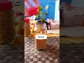Reutilizando tarros vacios de café #reciclaje #reciclagem