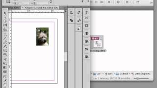 Working with snippets