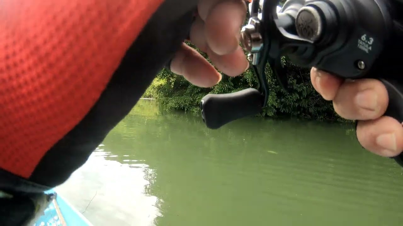 Casting santai ikan sebarau di Ulu Danum, Murum, Sarawak.