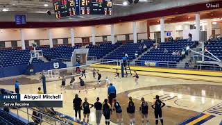 Famous Abigail Mitchell Volleyball Highlight Video Profile
