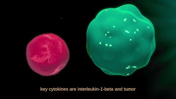 Drowsiness is a Red Alert - PSYC444 Video Project