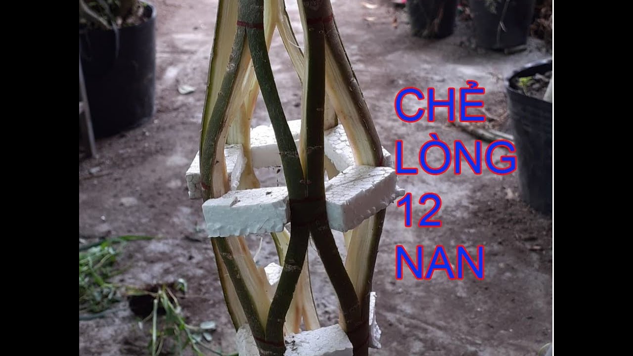 Chẻ lồng 12 nan - Tạo dáng - TRỊNH KHÔI [ Hoa Sứ ]