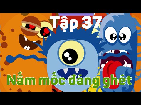 Nấm mốc đáng ghét