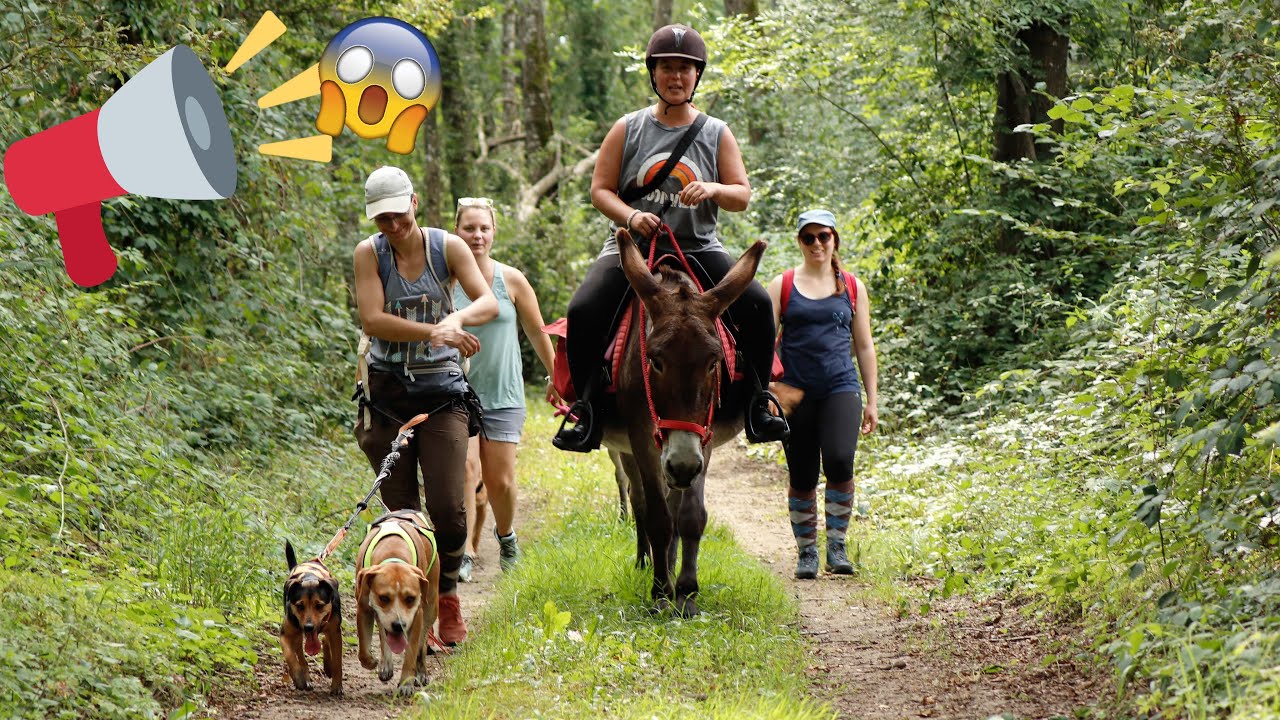 La Randonnée Ânes Victoires [6] + GROSSE ANNONCE !